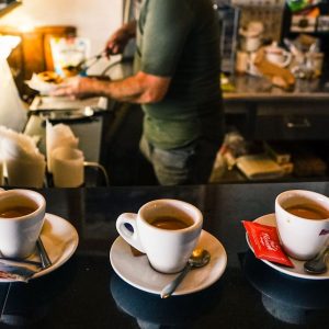 El bar, una espècie a protegir