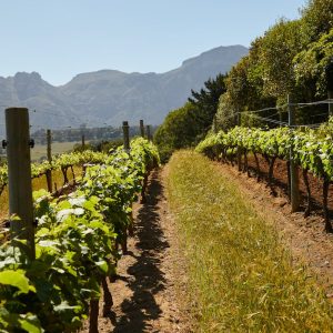 Agrobiotech: una aposta que pot consolidar el futur firal de Lleida