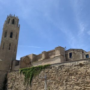 Campanya Festa Major de Maig: participa!, queden pocs dies d’inscripció
